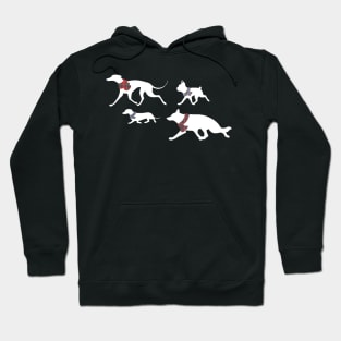 Winter hounds Hoodie